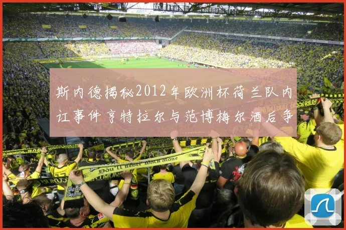 斯内德揭秘2012年欧洲杯荷兰队内讧事件亨特拉尔与范博梅尔酒后争执内幕
