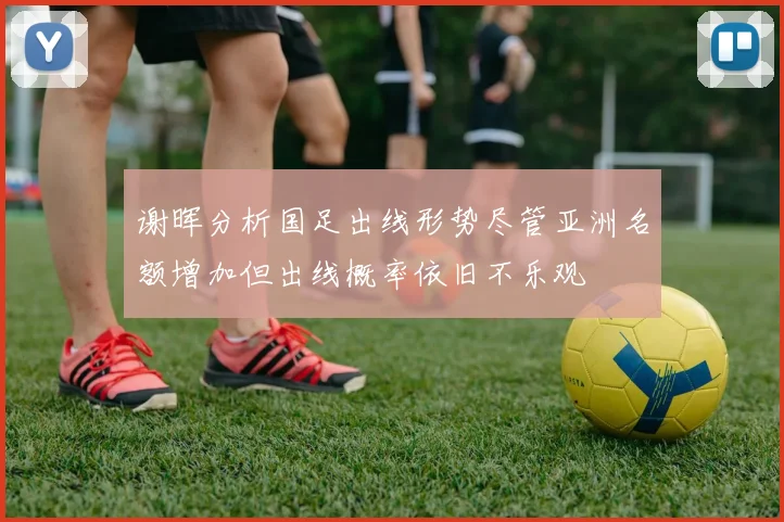 谢晖分析国足出线形势尽管亚洲名额增加但出线概率依旧不乐观